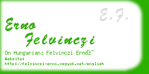 erno felvinczi business card